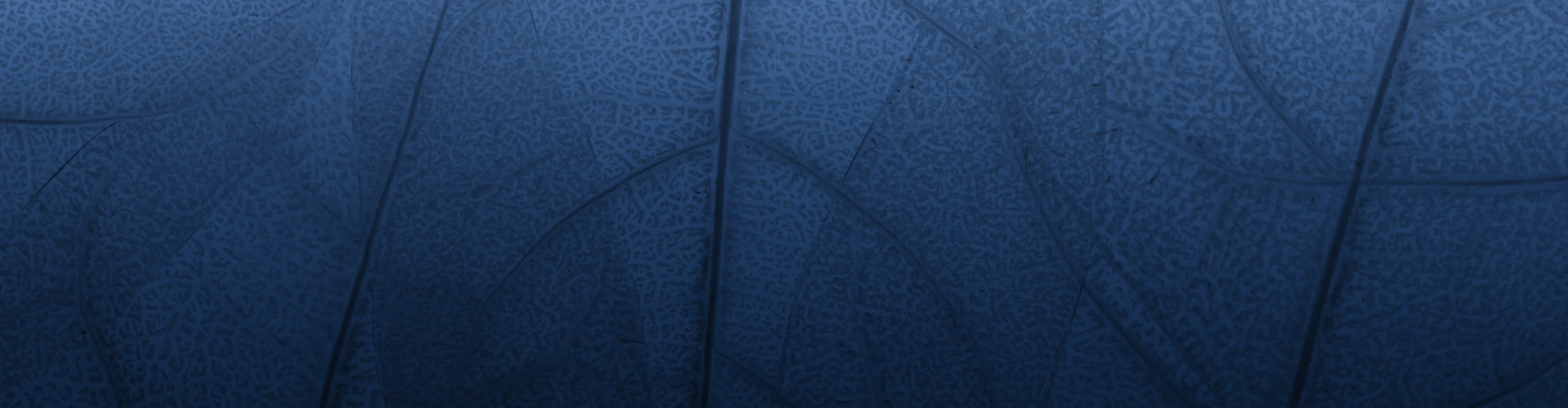 Dalton Landscapes LLC bc